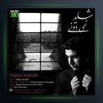 آهنگ شاید نمیدونی از مجتبی دل زنده