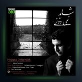 آهنگ شاید نمیدونی از مجتبی دل زنده