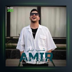 آهنگ شب تار از امیر چیتگر