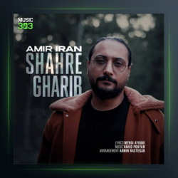 آهنگ شهر غریب از امیر ایران