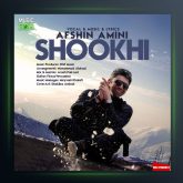 آهنگ شوخی از افشین امینی