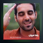 آهنگ طاقت بی تاق دلم از رضا میران