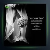 آهنگ عروس زیبا از دانیال شهرتی