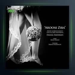 آهنگ عروس زیبا از دانیال شهرتی