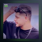 آهنگ غرش شیر از امیر چیتگر