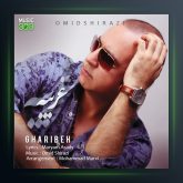 آهنگ غریبه از امید شیرازی