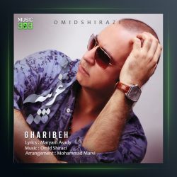 آهنگ غریبه از امید شیرازی
