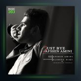 آهنگ فقط خداحافظ از افشین امینی