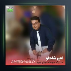 آهنگ ما دیگه از امیر شاملو