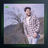 آهنگ مجنون روزگار از امیر چیتگر