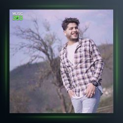 آهنگ مجنون روزگار از امیر چیتگر