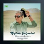 آهنگ مجنون نبودم از مجتبی دل زنده