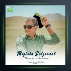 آهنگ مجنون نبودم از مجتبی دل زنده