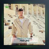 آهنگ مرد جنگ از امیر چیتگر