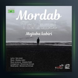 آهنگ مرداب تنهایی از مجتبی کبیری