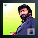 آهنگ مست در مست از مظفر حمیدی