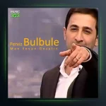 آهنگ من سون گوزلین از پرویز بلبل