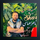 آهنگ منه یاد نکنی از ناصر عباسی