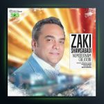 آهنگ نمیدونم چجوری از زکی شمس آبادی