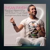 آهنگ نگو نمیشه از احسان پایا