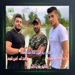 آهنگ نیم نگاه از امیر قمی