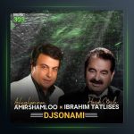 آهنگ هایدی سویله از امیر شاملو فیت ابراهیم تاتلیسس