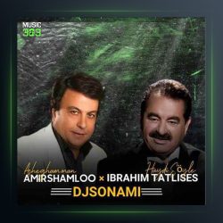 آهنگ هایدی سویله از امیر شاملو فیت ابراهیم تاتلیسس