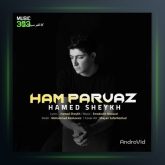 آهنگ هم پرواز از حامد شیخ