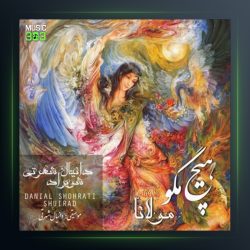 آهنگ هیچ مگو از دانیال شهرتی