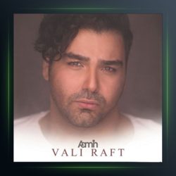 آهنگ ولی رفت از آمین