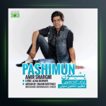 آهنگ پشیمون از امیر شرقی