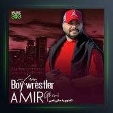 آهنگ پهلون پسر از امیر قمی