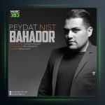 آهنگ پیدات نیست از بهادر