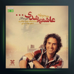 آهنگ چه خوب شد عاشقم شدی از امیر سالار