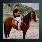 آهنگ کارمال از فرشاد مرادی