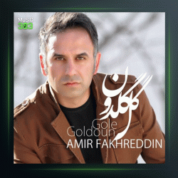 آهنگ گل گلدون از امیر فخرالدین