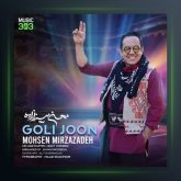 آهنگ گلی جون از محسن میرزازاده