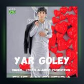 آهنگ یار گله از احسان شیدا