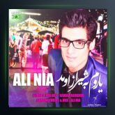 آهنگ یاروم به شیراز اومد از علی نیا