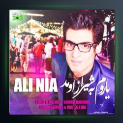 آهنگ یاروم به شیراز اومد از علی نیا