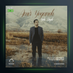 آهنگ یکی دیگه از امیر یگانه