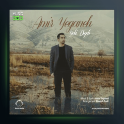 آهنگ یکی دیگه از امیر یگانه
