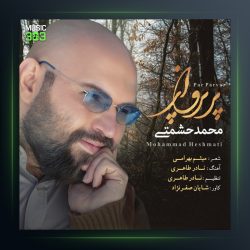 آهنگ پر پرواز از محمد حشمتی