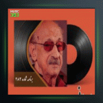 آهنگ شرح پریشانی از عبدالوهاب شهیدی