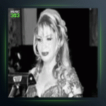 آهنگ صورتگر نقاش چین از شهلا سرشار