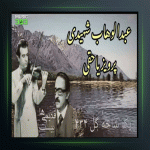 آهنگ عود و آواز دشتی از عبدالوهاب شهیدی