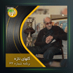 آهنگ گلهای تازه 67 از عبدالوهاب شهیدی