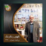 آهنگ گلهای رنگارنگ 270 از عبدالوهاب شهیدی