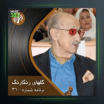 آهنگ گلهای رنگارنگ 310 از عبدالوهاب شهیدی