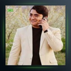 آهنگ گلچین 1 از اصغر باکردار